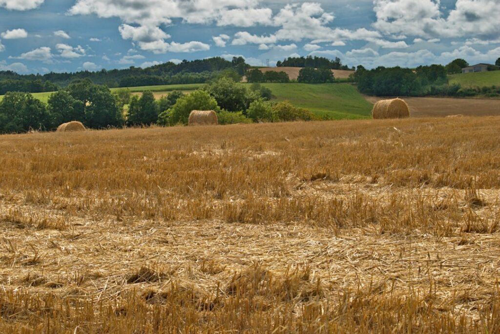 Photo Farm fields