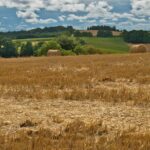Photo Farm fields