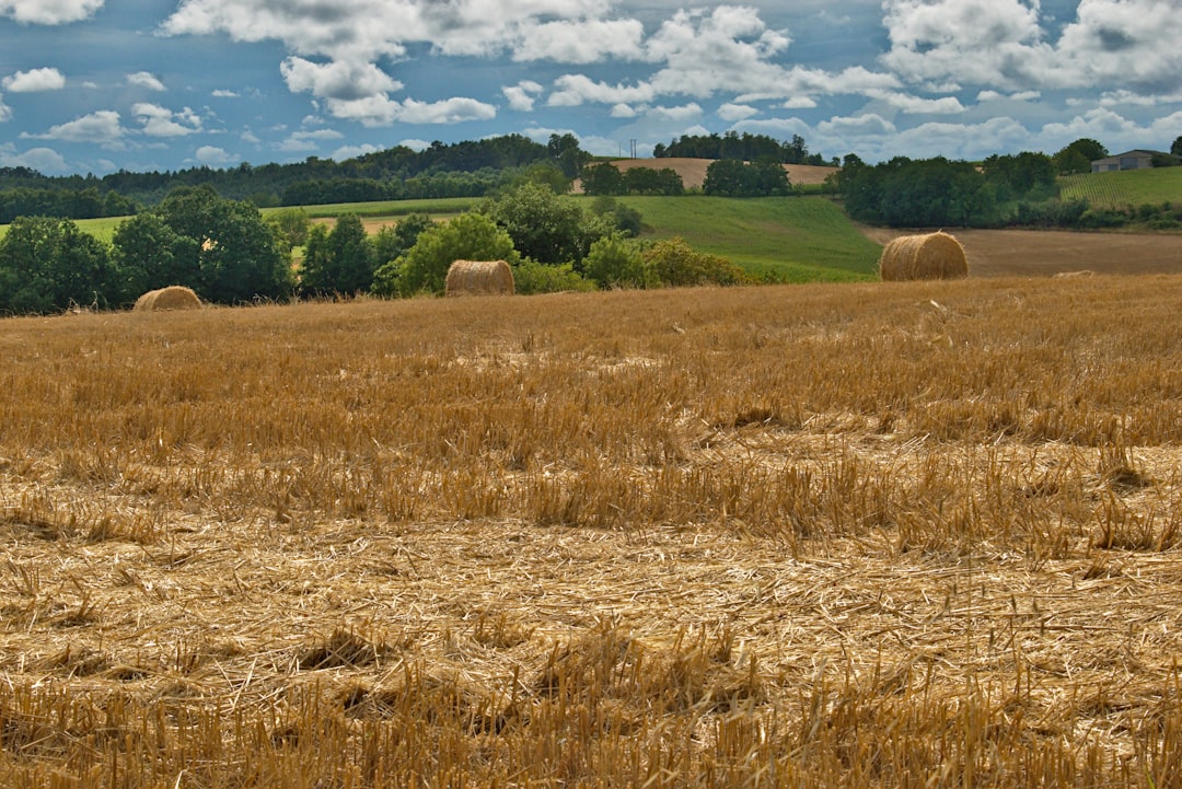 Photo Farm fields